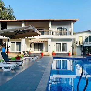 The Green Jungle Resort
